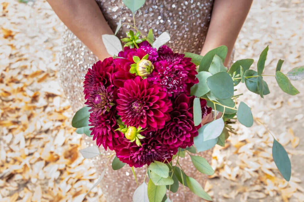 fbetophotography.com 199